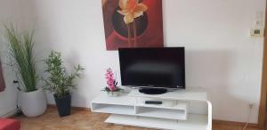 a flat screen tv sitting on a white entertainment center at Ferienwohnung Borse in Langenlois
