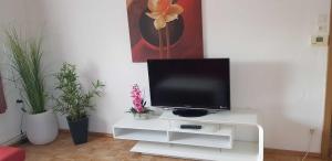 TV a/nebo společenská místnost v ubytování Ferienwohnung Borse
