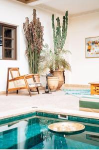 ein Haus mit einem Pool mit Pflanzen in der Unterkunft Riad Deha & Spa in Marrakesch