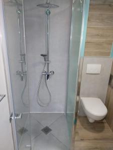 een badkamer met een douche, een toilet en een glazen deur bij studio Indépendant et climatisé. arrivée autonome in Bègles