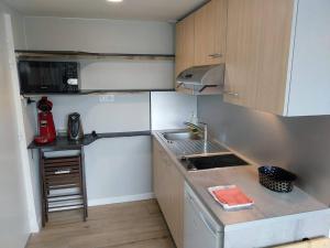 een kleine keuken met een wastafel en een fornuis bij studio Indépendant et climatisé. arrivée autonome in Bègles