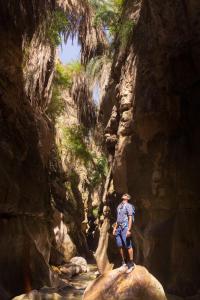 a man standing on a rock in a canyon at Beit alkaram in Kerak