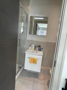 a bathroom with a sink and a shower and a mirror at Inviting Studio Apartment - Central Croydon London in London