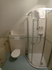 uma casa de banho com um chuveiro e um WC. em Apartmány u Gothaje em Rokytnice nad Jizerou
