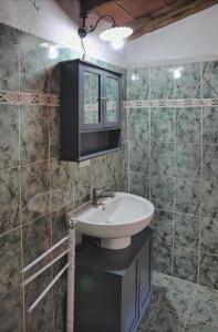 uma casa de banho com um lavatório e um espelho em Case Vacanze Giovanni Garibaldi em Pescaglia