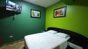 a bedroom with a bed with green walls and a tv at Hostal Nochero's in Tacna