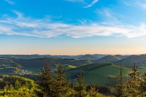 a view of a valley with trees and mountains at Ferienhäuser Hoher Knochen in Winterberg