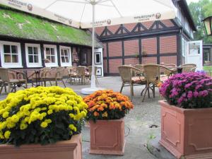 Ein Garten an der Unterkunft Ihr Ferien Hotel Brunnenhof