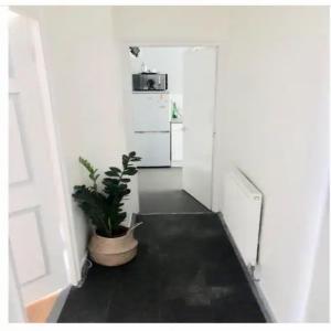 a hallway with a potted plant and a refrigerator at A little spot in the City in London