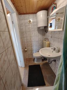 małą łazienkę z toaletą i umywalką w obiekcie Kleine Freiheit Nummer 4 w mieście Reichendorf