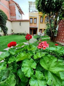 a garden with red flowers in front of a house at Hostal Paola in Sucre