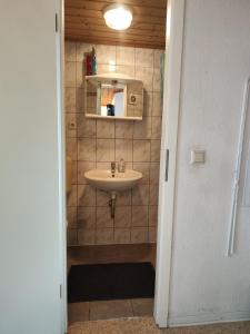 ein Bad mit einem Waschbecken und einem Spiegel in der Unterkunft Kleine Freiheit Nummer 4 in Reichendorf