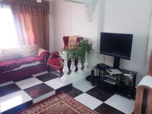 een woonkamer met een bank en een tv bij الياسمين تاور * Jasmin Tower in Caïro