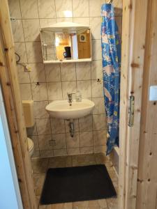 La petite salle de bains est pourvue d'un lavabo et d'un miroir. dans l'établissement Kleine Freiheit Nummer 5, à Reichendorf