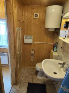 La salle de bains est pourvue de toilettes et d'un lavabo. dans l'établissement Kleine Freiheit Nummer 5, à Reichendorf
