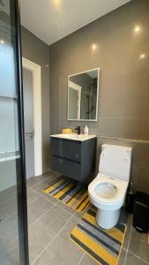 uma casa de banho com um WC, um lavatório e um espelho. em Spire apartment no kitchen em Dublin