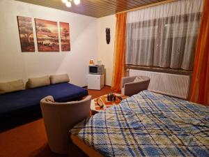 a bedroom with a bed and a couch and a table at Pension Arbersonne in Bayerisch Eisenstein