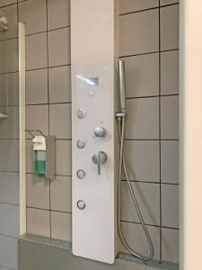 La salle de bains est pourvue d'une douche avec un tuyau. dans l'établissement Comodo pied-à-terre ad Ascona, à Ascona