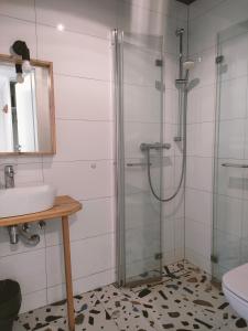 a bathroom with a shower and a sink at Pod Berdem in Wetlina +35 photos
