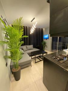 San Vito Luxury apartment في السويمة: غرفة معيشة بها أريكة وبعض النباتات