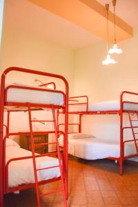 フィレンツェにあるニューホステル フローレンスの二段ベッド3組が備わる客室です。