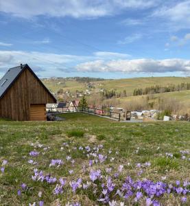 un champ de fleurs violettes devant une grange dans l'établissement Bystre Domki 2, à Nowe Bystre