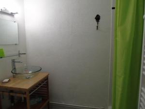 a bathroom with a sink and a green shower curtain at Chalet Arrondaz - 3 Pièces pour 8 Personnes MAE-8754 in Modane +4 photos