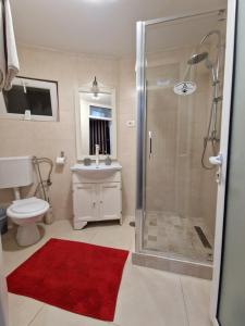 a bathroom with a shower and a toilet and a sink at Hotel Jolie Apartments in Galaţi