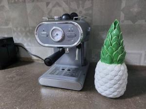 a food processor with a pineapple next to it at Ta'lonza2 Prime Location Reach Most Of The Island in Mellieħa