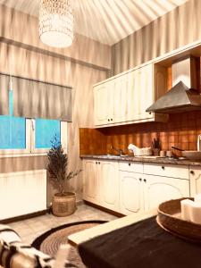 a kitchen with white cabinets and a potted plant at Las plantas-studios-apartments-Corfu in Dassia