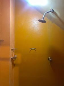 ein Bad mit einer Dusche mit einer Spinne an der Wand in der Unterkunft Casa El Majahual in Playa San Blas