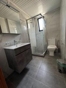 a bathroom with a shower and a sink and a toilet at 4Seasons Sfakia in Hora Sfakion