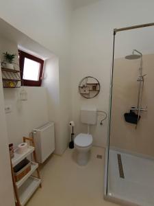 a bathroom with a toilet and a shower at PIF Apartments Hirscher in Braşov