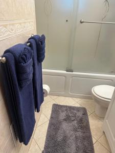 y baño con toallas azules colgadas en una cabina de ducha. en Genevieve’s comfort pad en Jersey City