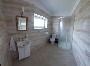 ŽelezniceHotel u Jindry的带淋浴、水槽和马桶的浴室