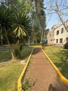 un camino en un parque con árboles y un edificio en Casa COYOACÁN en Ciudad de México