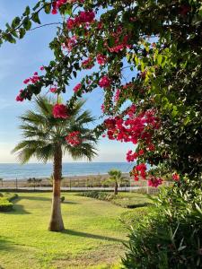 uma palmeira num campo com flores cor-de-rosa em Sunshine beach front complex, WiFi, modern em Casares