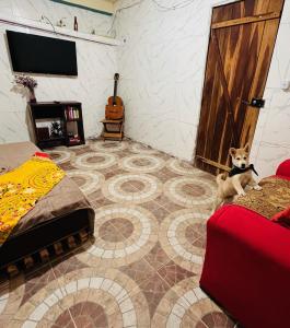 a dog sitting on the floor in a room with a door at Multiverso Hostel in Lençóis