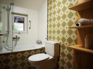 a bathroom with a toilet and a shower and a tub at Berghof Burtscher in Ludesch
