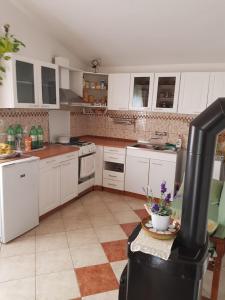 Kuchyňa alebo kuchynka v ubytovaní Holiday Home Nada