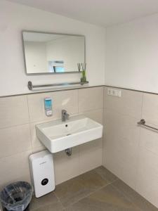 a bathroom with a white sink and a mirror at Bruchersee-Gummersbach Nord in Marienheide