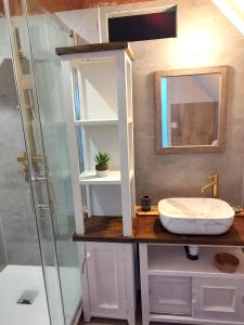 ein Bad mit einem Waschbecken und einer Dusche in der Unterkunft Maison de 3 chambres avec piscine privee jardin clos et wifi a Paimpont in Paimpont