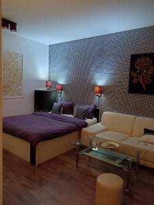 Gallery image of Apartments Oldtown in Novi Sad