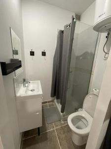 La salle de bains est pourvue de toilettes, d'une douche et d'un lavabo. dans l'établissement Lorient, Studio Centre, Fibre Proche Gare, Plage, à Lorient