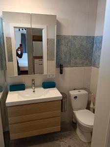 ein Badezimmer mit einem Waschbecken, einem WC und einem Spiegel in der Unterkunft 1 Zimmer Appartement nahe Gmunden Top2 in Pinsdorf