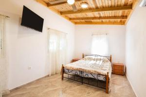 a bedroom with a bed and a tv on the wall at Villa Lothiko in Karpathos Town