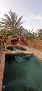 a pool of water in a yard with palm trees at siwa gardenia cottage in Siwa