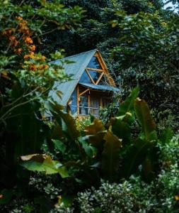 a small house in the middle of a forest at Boscaje Solarpunk Habitat in La Gran Via