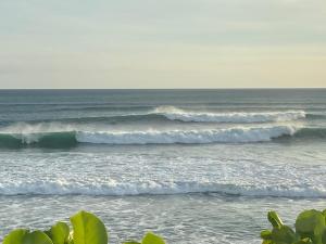 Fotografie z fotogalerie ubytování Hacienda Iguana Cesars Colarado v destinaci Tola