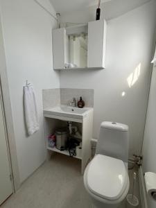 a white bathroom with a toilet and a sink at Hlíðarás Guesthouse in Ölfus